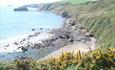 porth ysgo