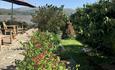 View of Wenallt garden showing garden seating and view to mountains.