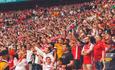 wrexham fc crowd