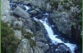Ogwen Falls Cafe