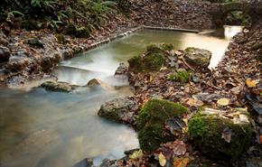 St Dyfnog’s Holy well