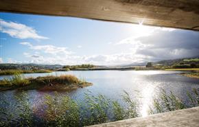 RSPB Conwy