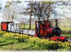 Narrow Gauge Railway