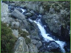 Ogwen Falls Cafe