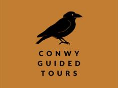 Best tours of Conwy