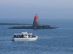 Puffin Island Cruises