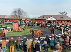 Autumnal Day of racing at Bangor on Dee Racecourse