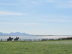 Anglesey Riding Centre