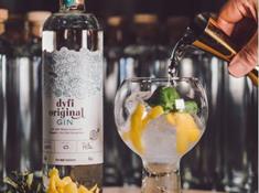 Award winning Dyfi Distillery gin