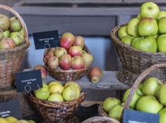 Erddig Apple Harvest Celebration