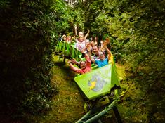 Families on the green dragon rollercoaster