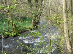 Loggerheads Country Park