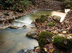 St Dyfnog’s Holy well