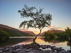 a gorgeous view towards snowdon