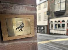 The Jackdaw