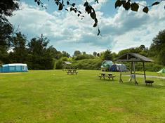 Grass Electric camping field