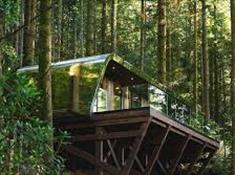 Forest Lodges