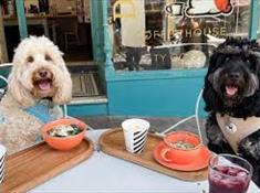 Dudley & George's
