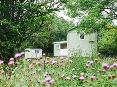 Snowdonia Shepherds' Huts in wildflower meadow, near Betws-y-Coed, North Wales