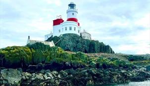 Skerries, South Stack & North Stack Boat Trip
