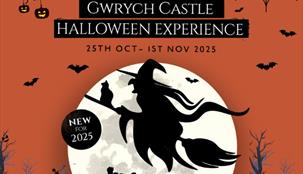 The Gwrych Castle Halloween Experience