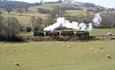 Landscape view of steam railway in countyside