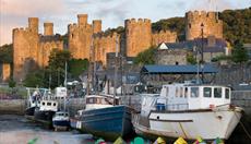 North Wales Tours