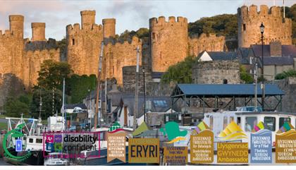 Amazing North Wales Tours