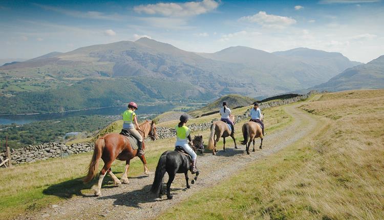 Snowdonia Riding