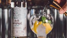 Award winning Dyfi Distillery gin