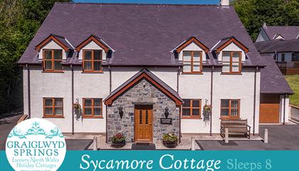 Graiglwyd Springs Holiday Cottages - Sycamore