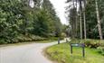 Winding road in Newborough forest with cycle trail sign.