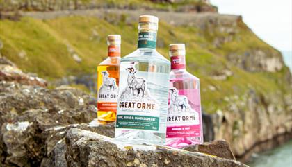 Great Orme Gin