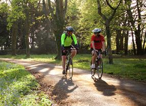 Cycling through trees