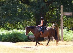 Woman riding horse through parkland