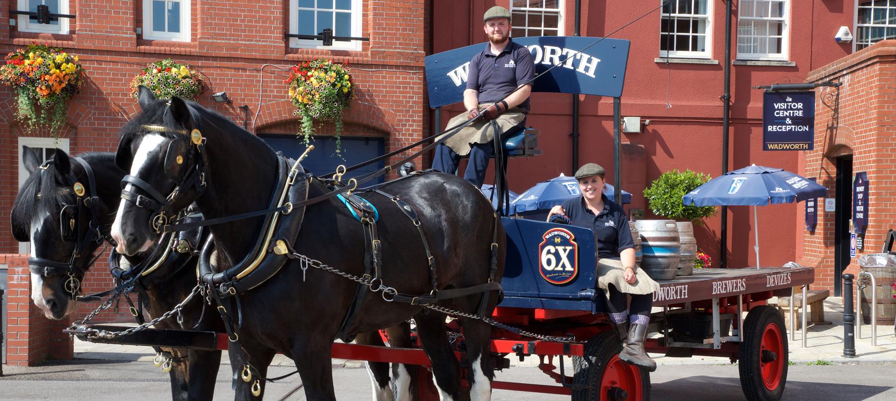 Horses with a cart at Wadworth Brewery