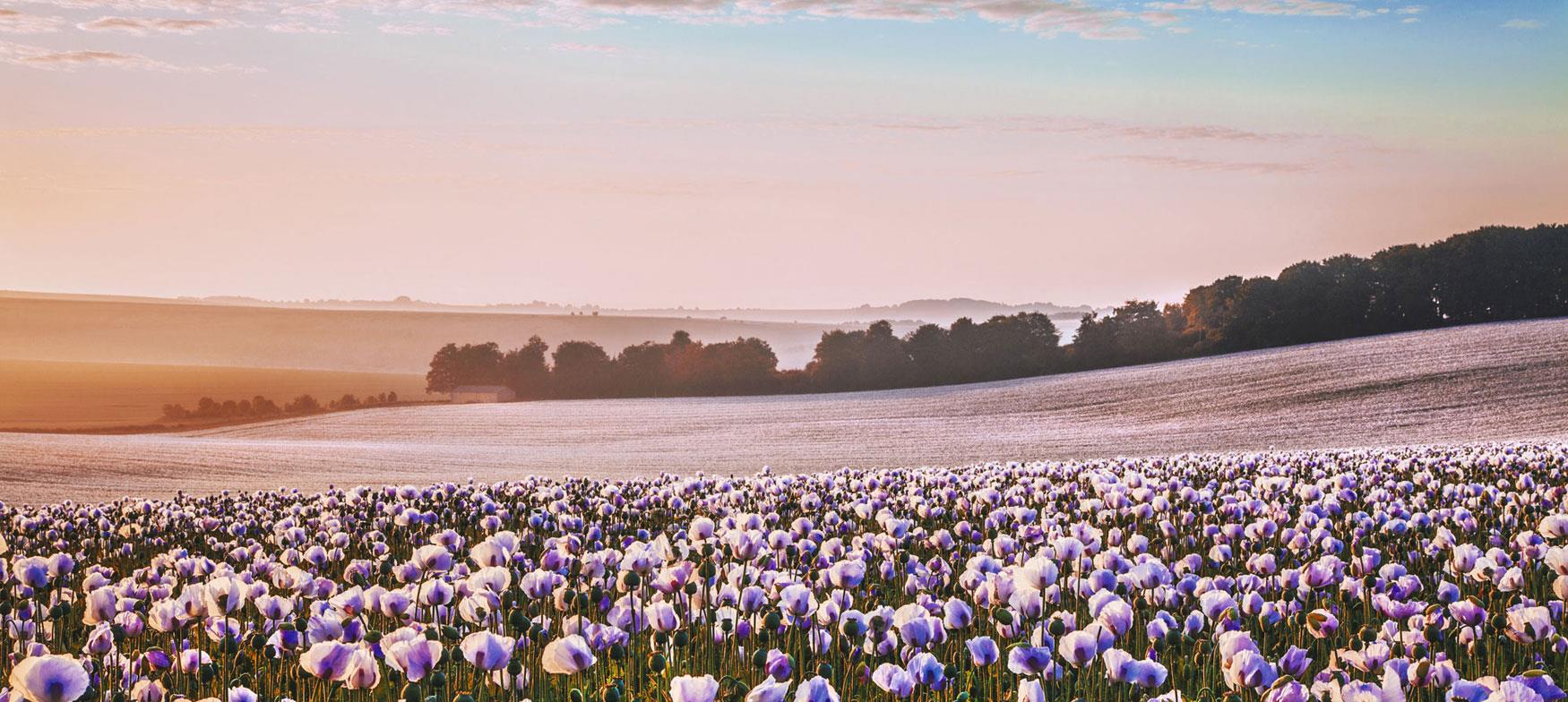 Summer along the Great West Way