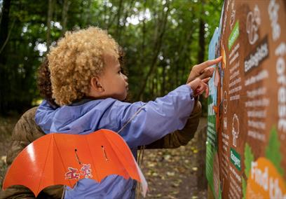 Zog activity trail - Westonbirt Arboretum