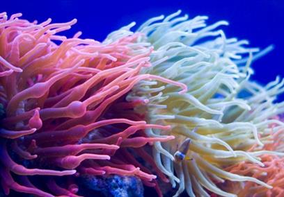Even Calmer Days at Bristol Aquarium
