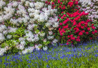 Bowood Garden Tours