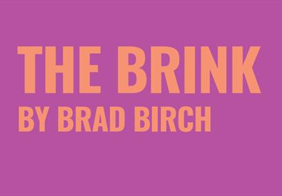 The Brink by Brad Birch written in pink on a magenta background