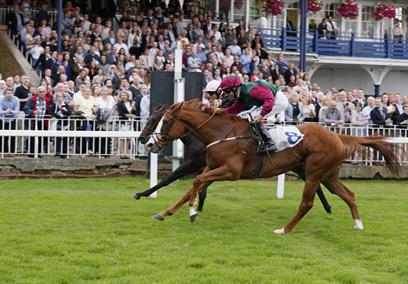 Windsor Racecourse