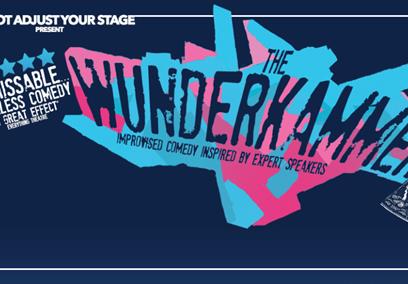 Do Not Adjust Your Stage poster