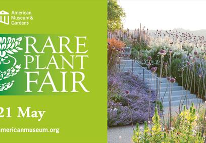A poster advertising a Rare Plant Fair at the American Museum & Gardens in Bath