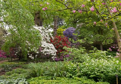 The Savill Garden - Travel Trade