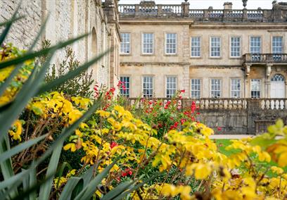 yellow leaves in front of old building