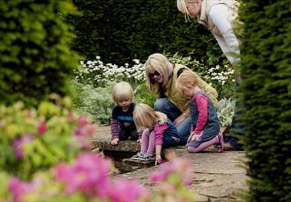 National Trust - Tintinhull Garden