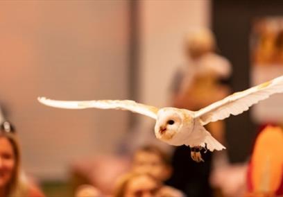 Winter Wildlife Week at Longleat