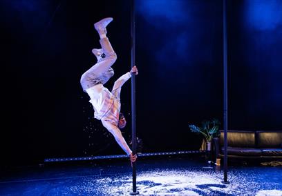 A man lifting himself up a pole upside down
