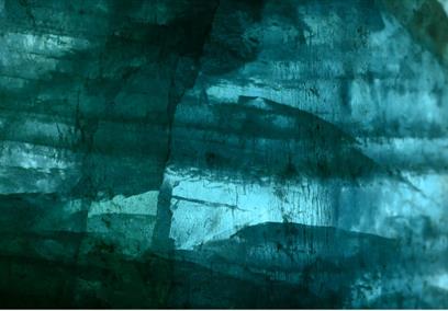 From Riches of the Earth BRLSI Exhibition